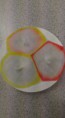 /album/fotogalerie-chromatografie/a12523927-1131121713567753-560931861721369697-n-jpg/